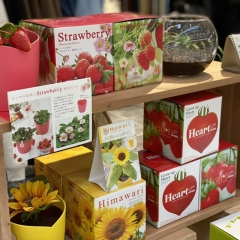 種から育てる植物、はじめました